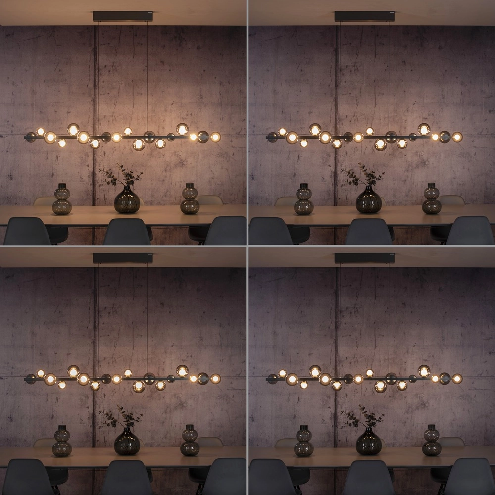 Eettafel hanglamp Pure E-Popup 18L - met smoke glas Paul Neuhaus 4012248396452