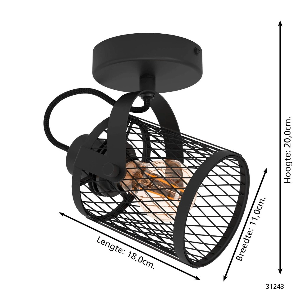 Plafondlamp Dellow 1 zwart enkel Eglo 9002759312435