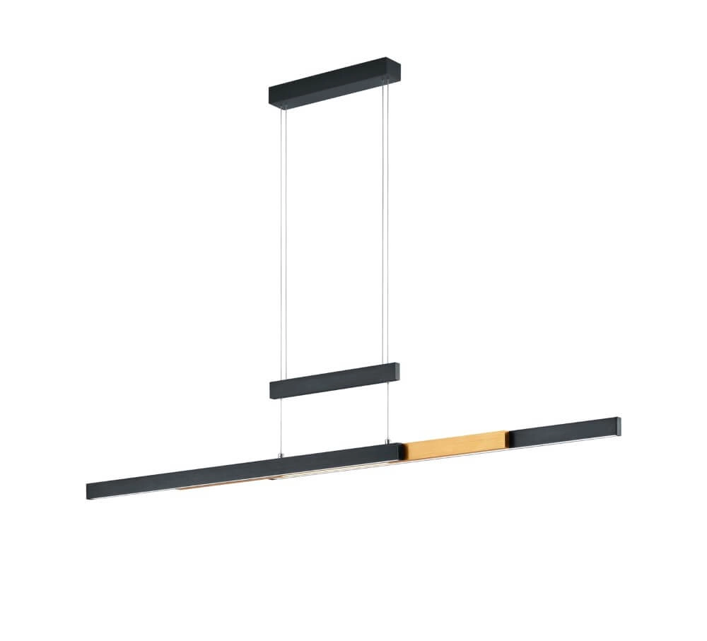 Hanglamp Trajan zwart Trio 4017807504446