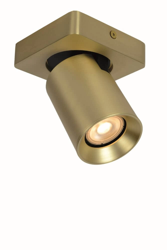 Richtbare opbouwspot Megano goud