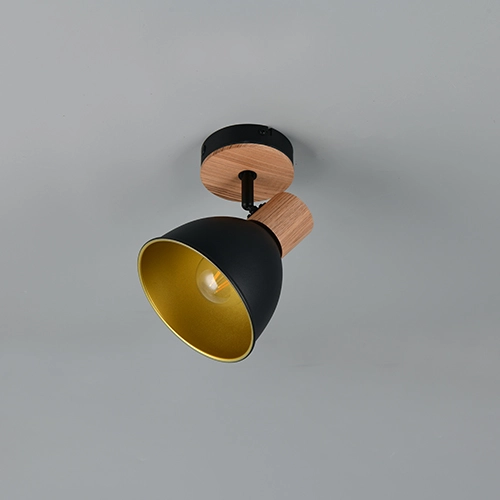 Plafondlamp Delume enkel zwart Trio 4017807672237