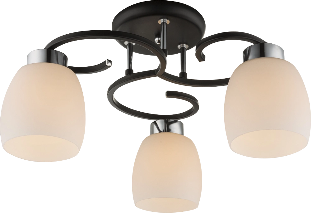 Plafondlamp Pessoa Iv zwart