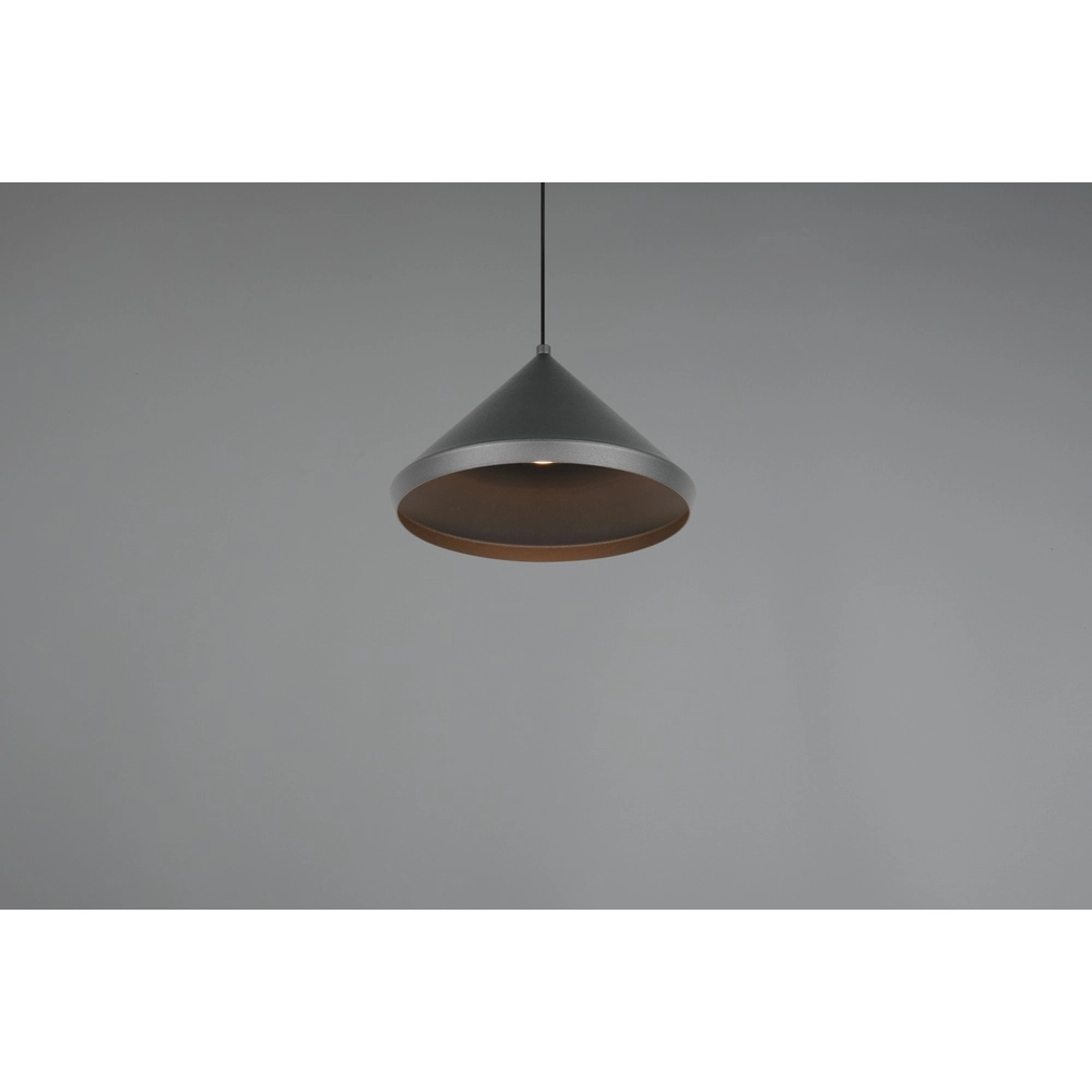 Moderne hanglamp Laguna Ø 18cm zwart Trio 4017807667608