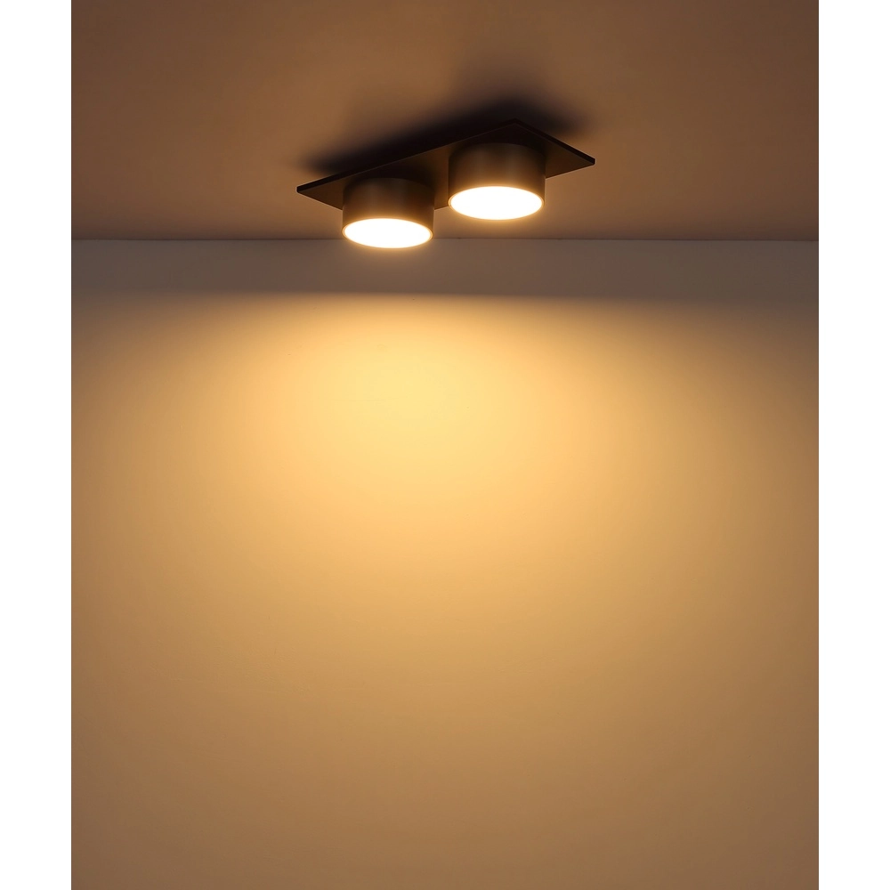 2-lichts plafondlamp Raymond zwart met champagne Globo 9007371522873