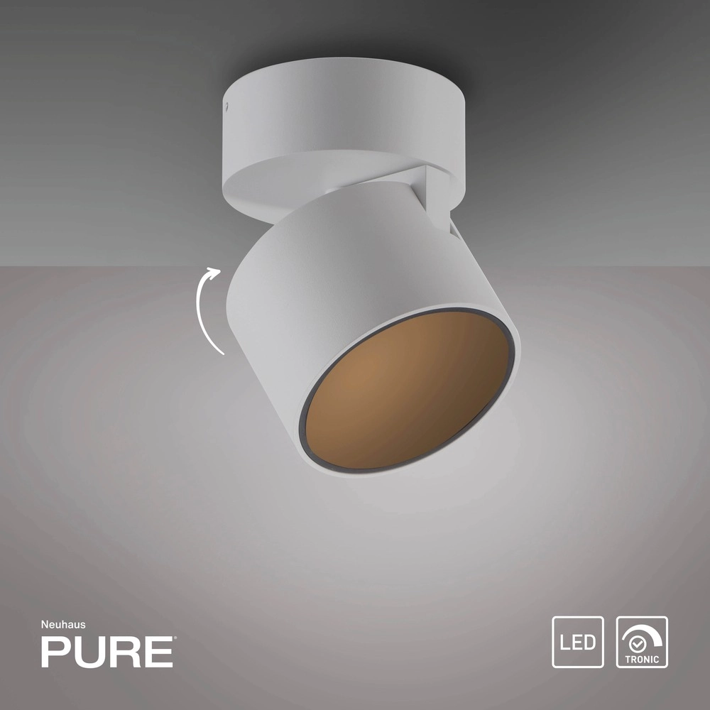 Strakke opbouwspot Pure Cup snow white Paul Neuhaus 4012248395578