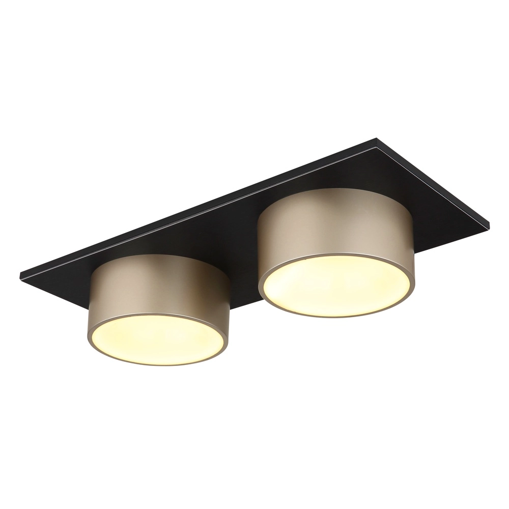 2-lichts plafondlamp Raymond zwart met champagne