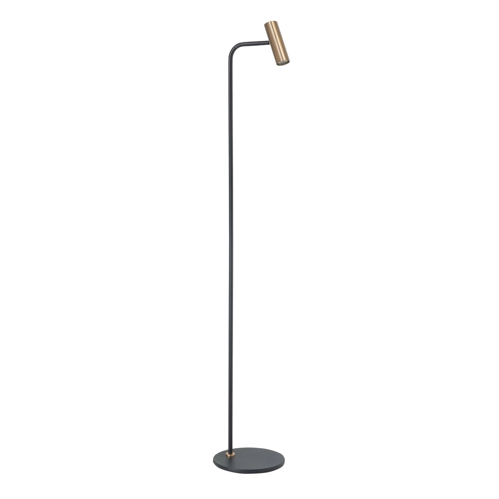 Vloerlamp Trend zwart met messing