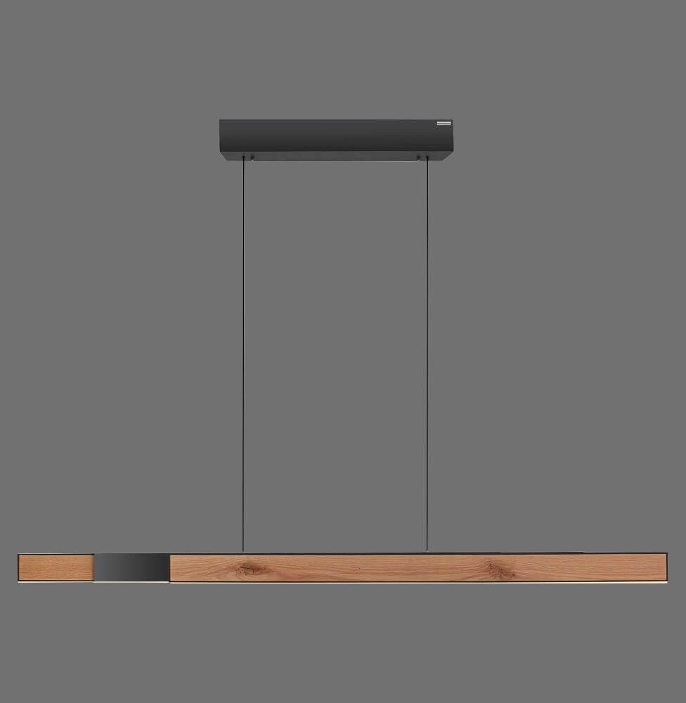 Design hanglamp Pure Moto-Rise hout Paul Neuhaus 4012248374443