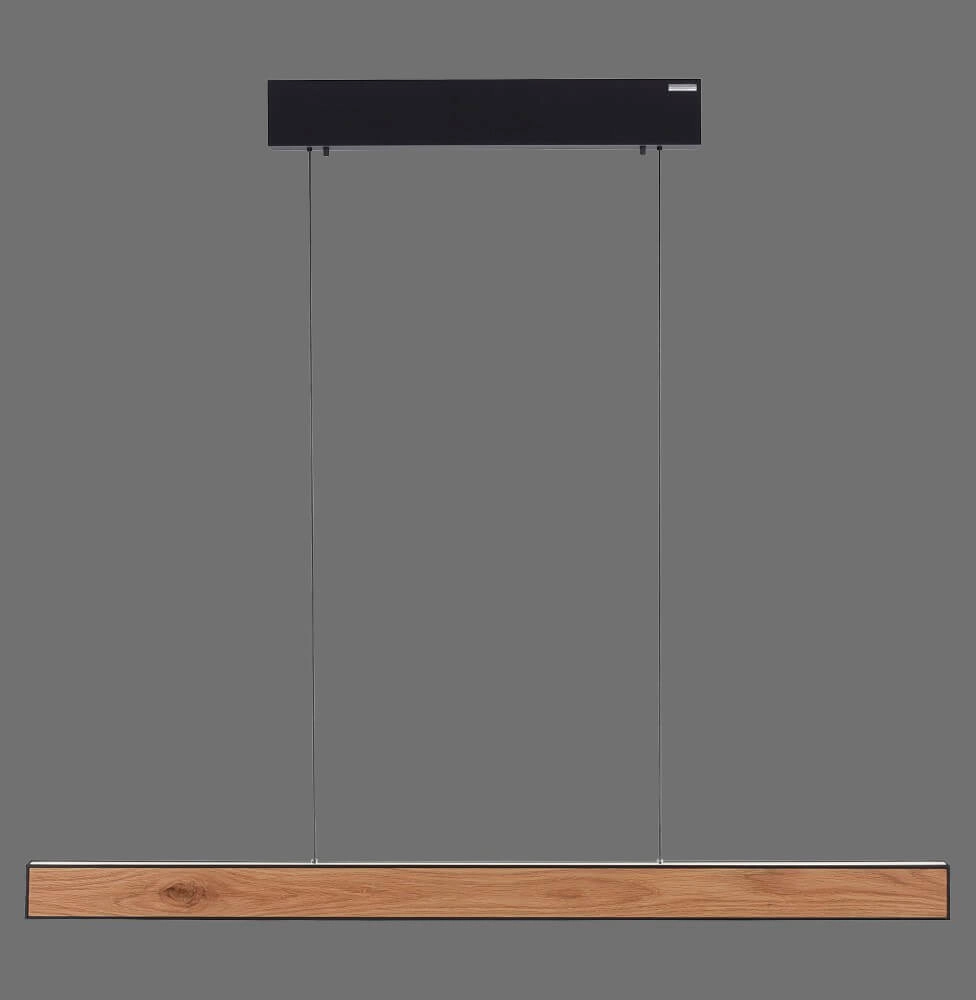 Design hanglamp Pure E-Motion hout Paul Neuhaus 4012248372937