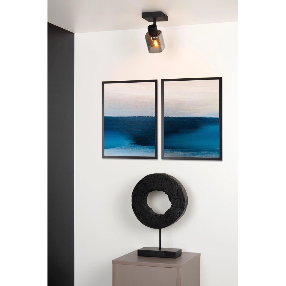 Plafondlamp Alion enkel zwart met smoke glas Lucide 5411212176981