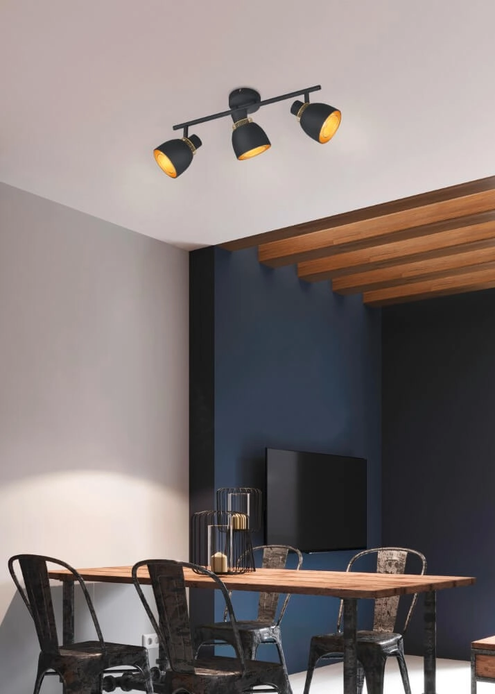 Zwarte plafondlamp Punch 3-lichts Trio 4017807567410