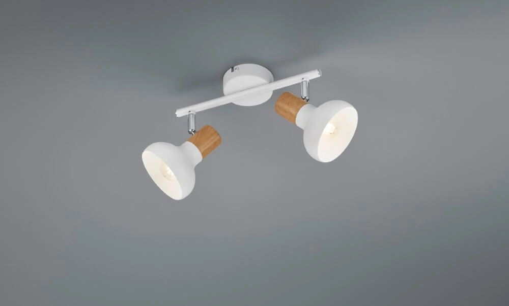 Plafondlamp Latika 2-lichts wit Trio 4017807577020