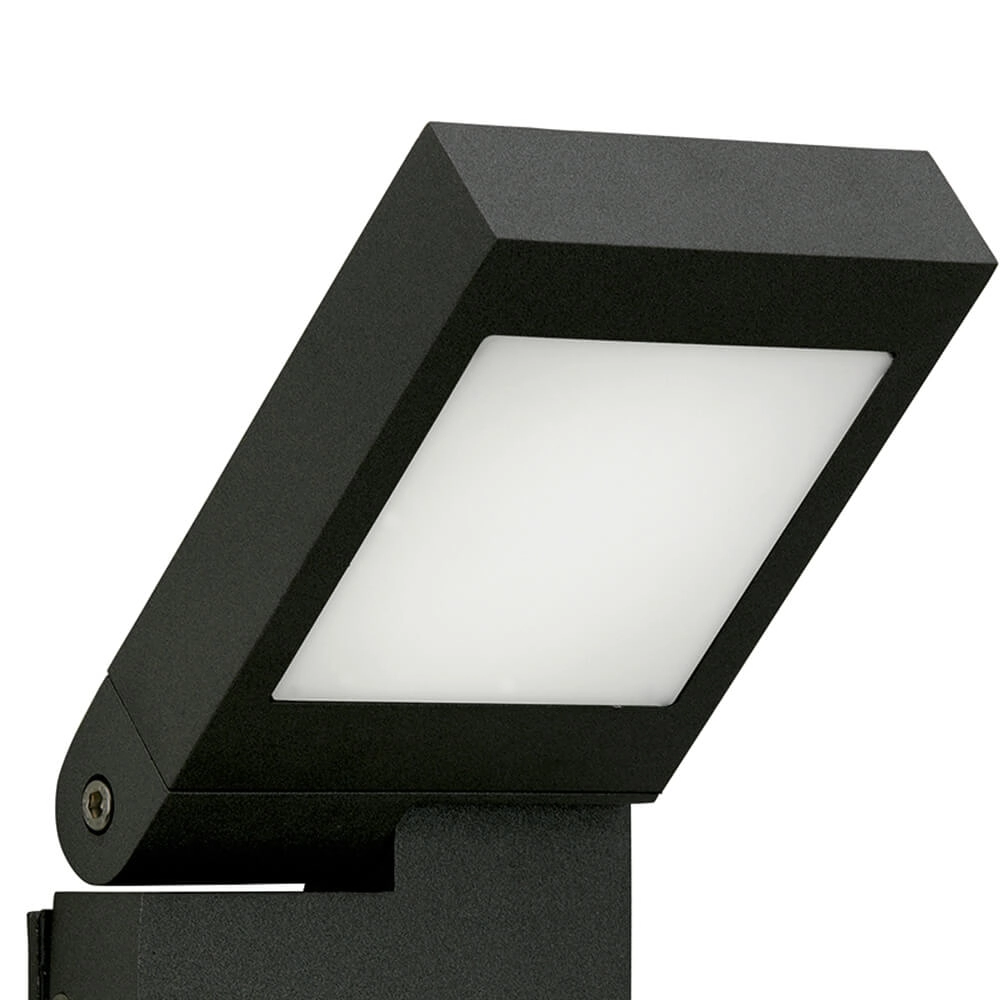Led buitenverlichting straler Parel zwart Albert 4007235601114