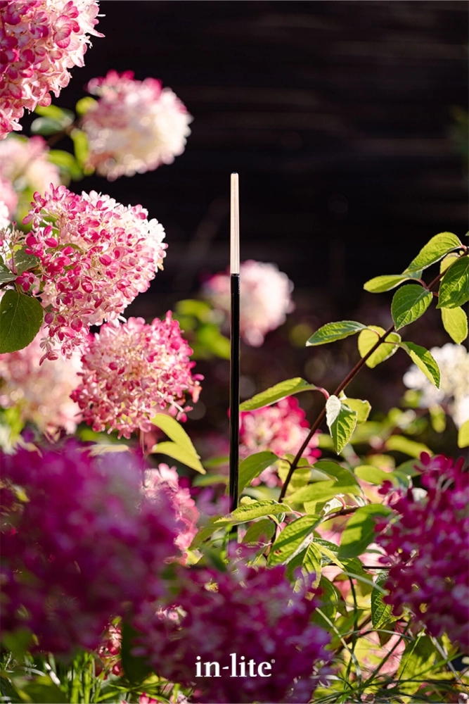 12 volt lamp BREEZE LOW In-lite 8717051007903