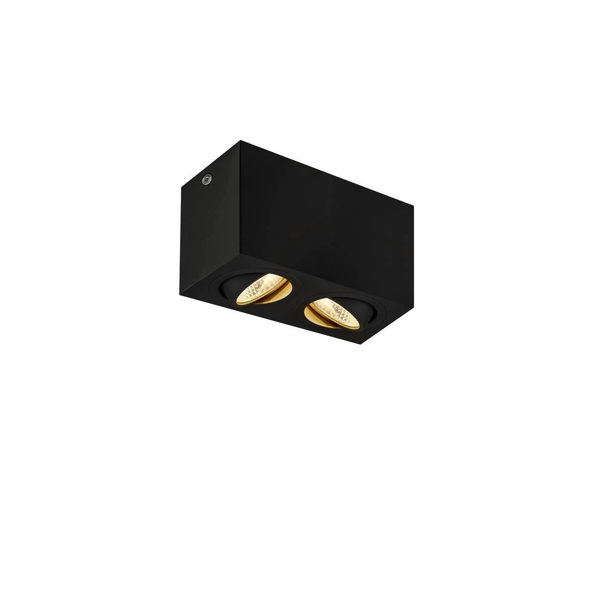Plafondlamp Triledo 2-lichts 16cm 3000K zwart