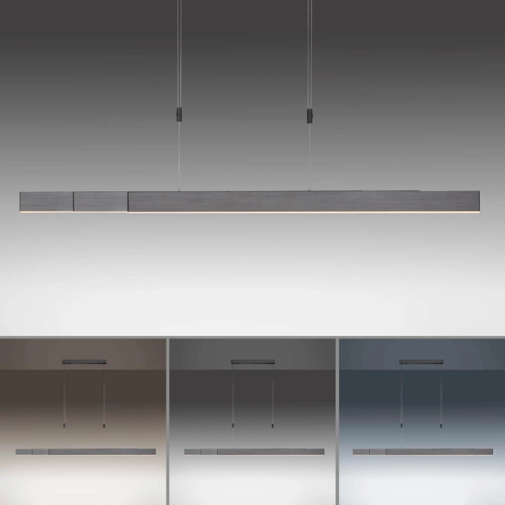Led hanglamp Pure-Moto geborsteld antraciet Paul Neuhaus 4012248363751