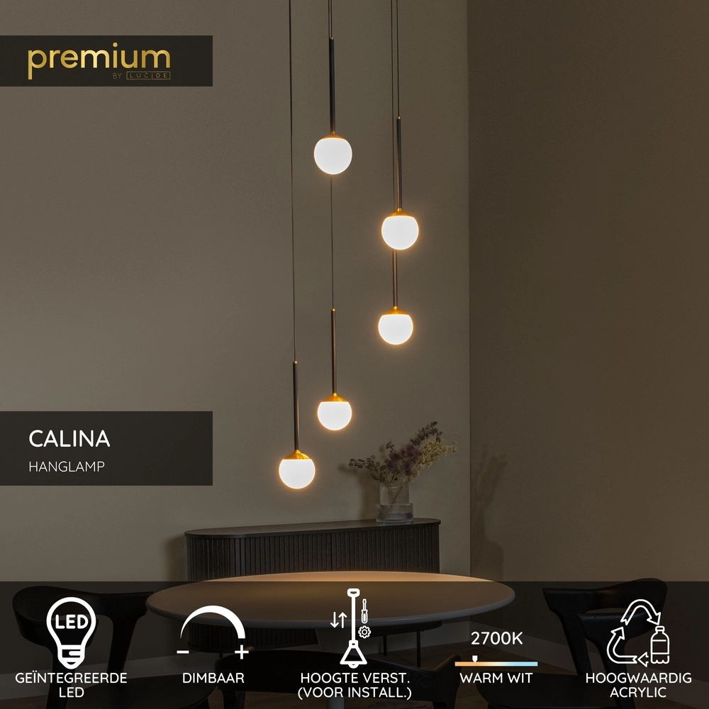 Vide hanglamp Calina 5-lichts met witte bollen Premium by Lucide 5411212241979