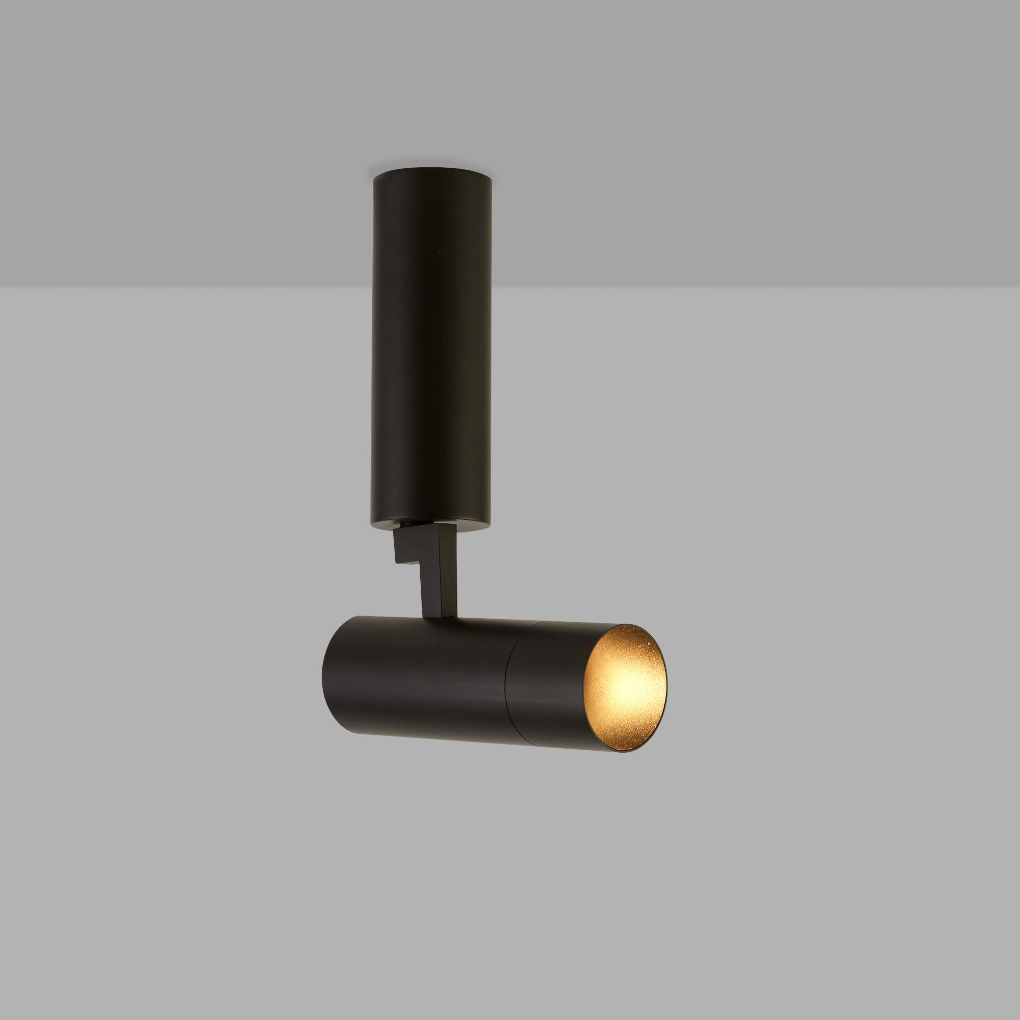 Plafondlamp Andromeda zwart