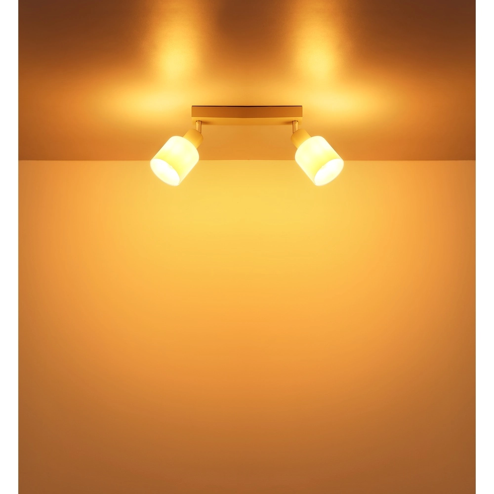 2-lichts plafondspot Trent zand bruin Globo 9007371575961