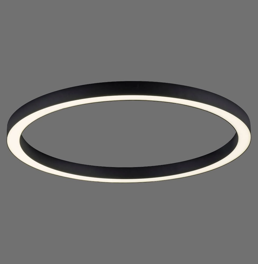 Ronde vloerlamp Pure Lines Round Ø 70cm antraciet Paul Neuhaus 4012248373521