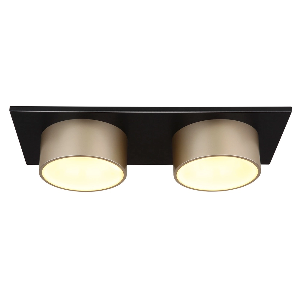 2-lichts plafondlamp Raymond zwart met champagne Globo 9007371522873