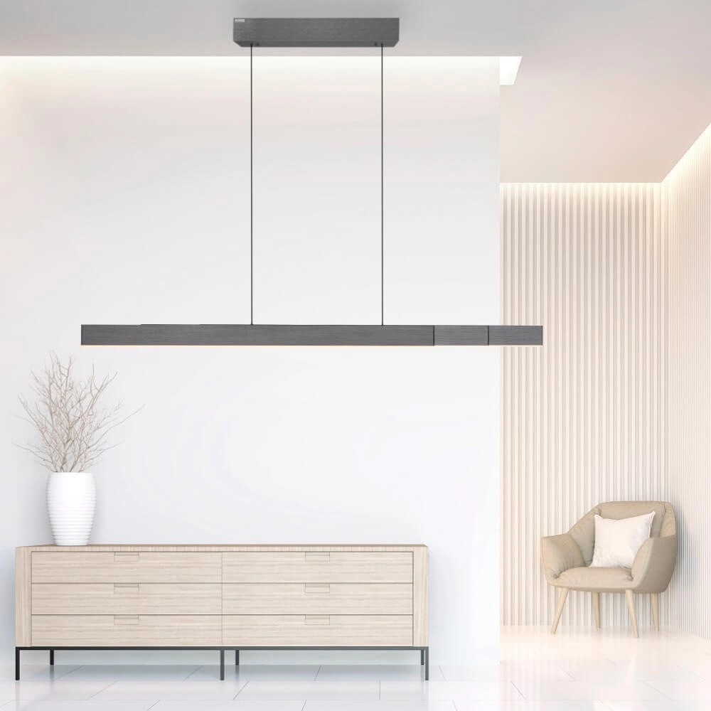 Design hanglamp Pure Moto-Rise grijs Paul Neuhaus 4012248366653