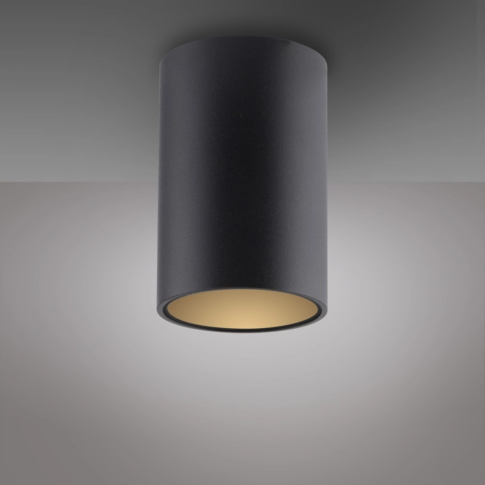 Plafond opbouwspot Pure Point Ø 6cm - black pearl Paul Neuhaus 4012248395677