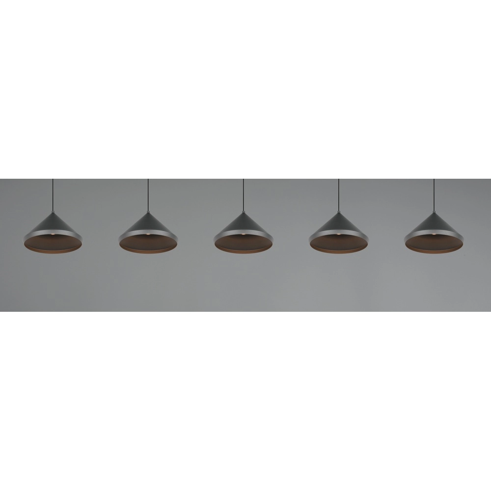 5-lichts hanglamp Laguna zwart Trio 4017807667684