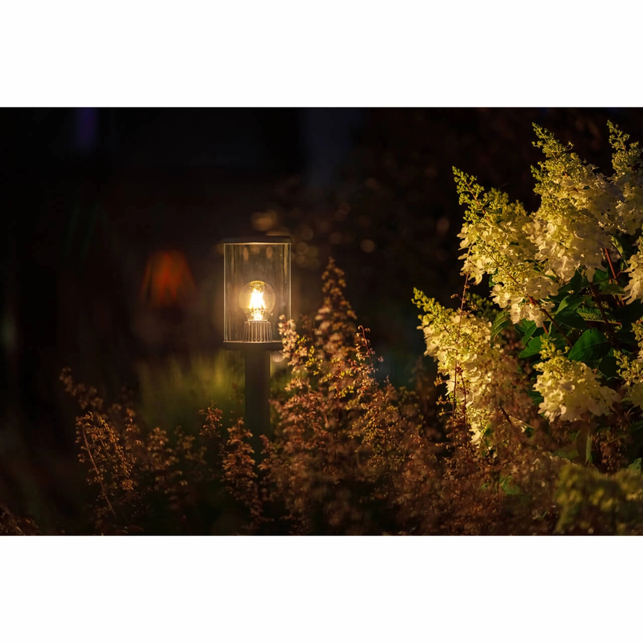 12 volt terraslamp Eros High zwart Lightpro 8719979282691