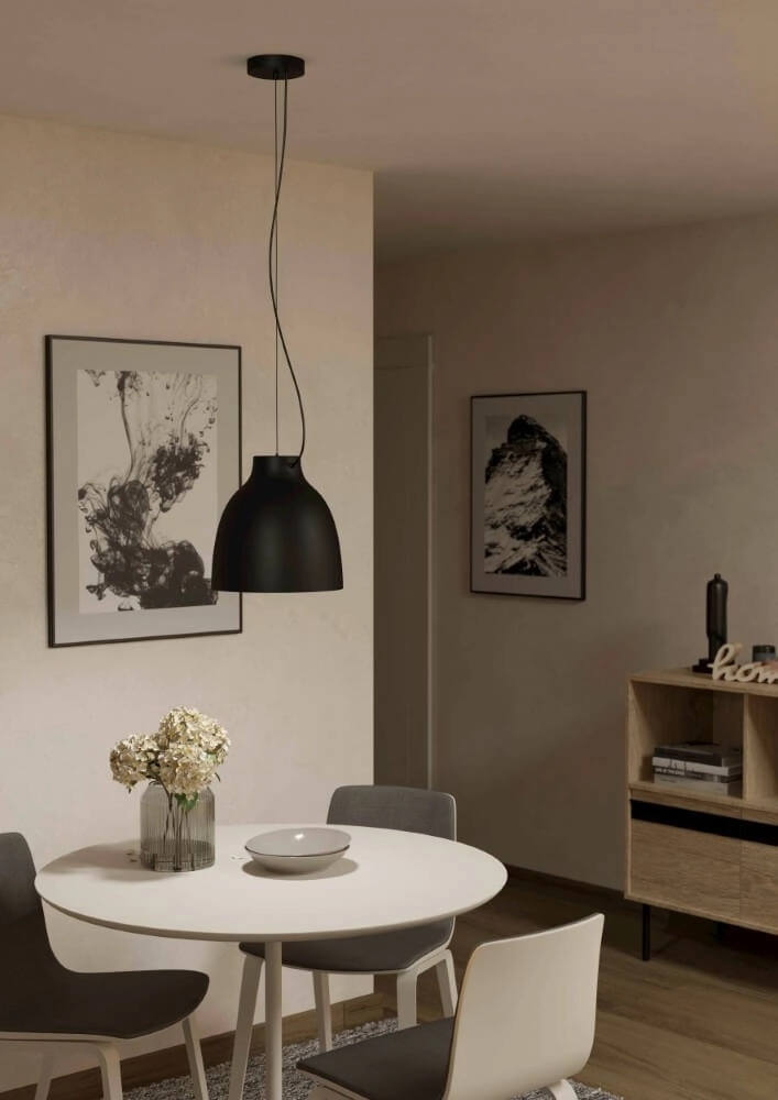 Zwarte hanglamp Camasca Ø 28cm Eglo 9008606239054