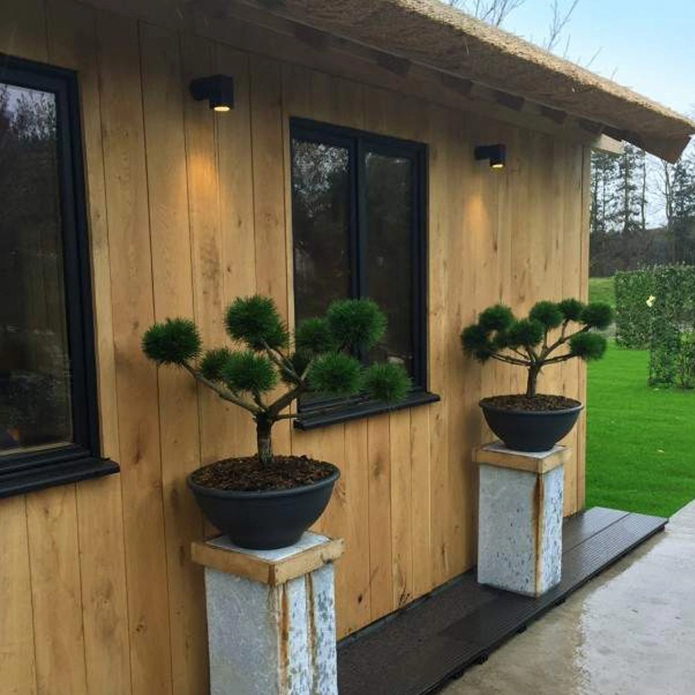 Wandspot Cubic Alu voor buiten zwart KS Verlichting 8714732712743