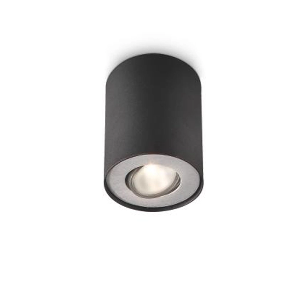 Stoere plafondspot Pillar