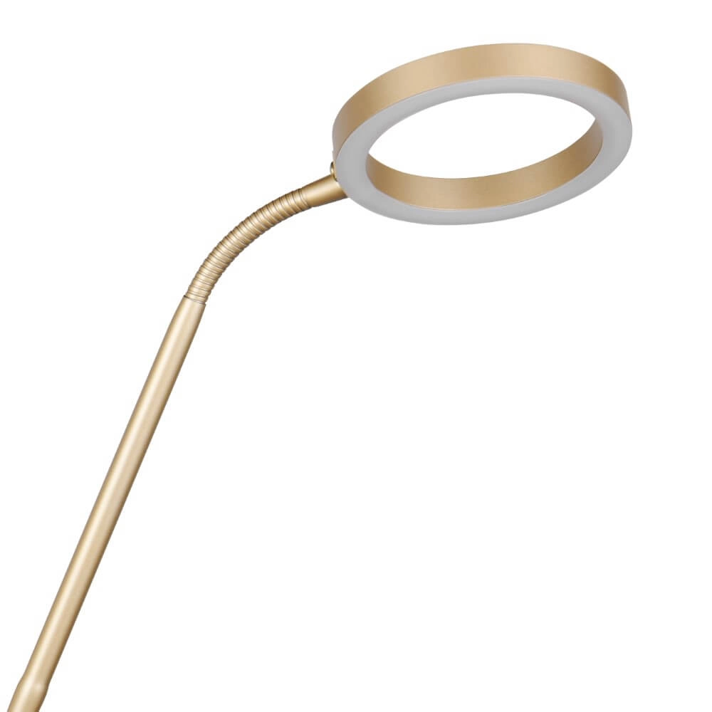 Design leeslamp Willis Goud - 180cm Trio 4017807627923