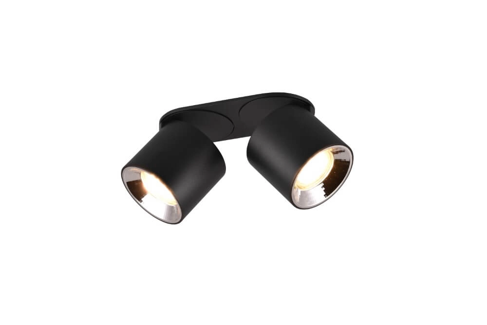 Plafondlamp Guayana 2-lichts zwart Trio 4017807573961
