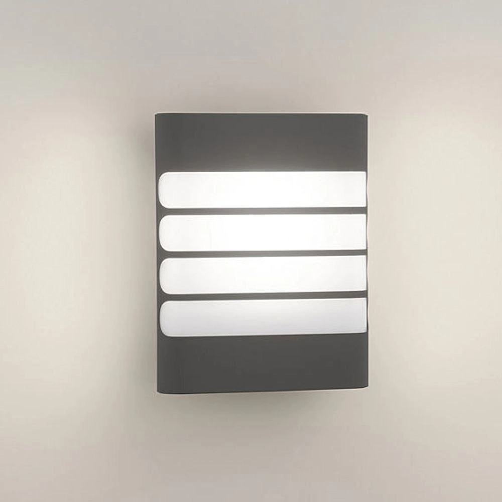 Buitenlamp My Garden Raccoon led Philips 8718291479468