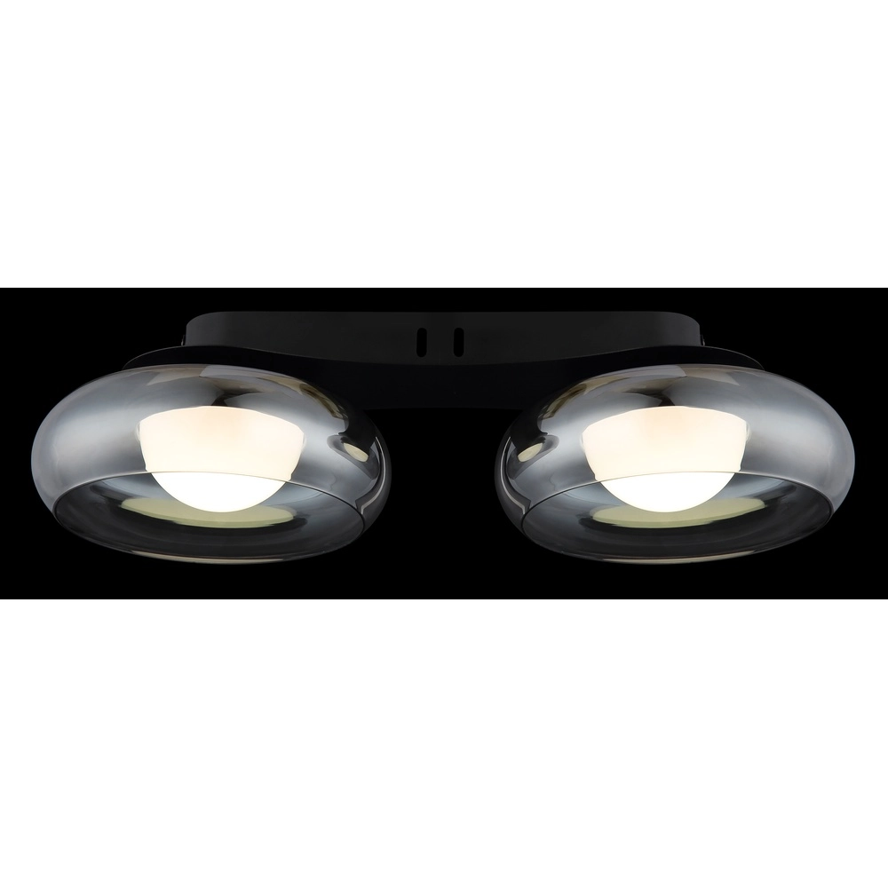 Design plafondlamp Carlene 2-lichts zwart Globo 9007371569175