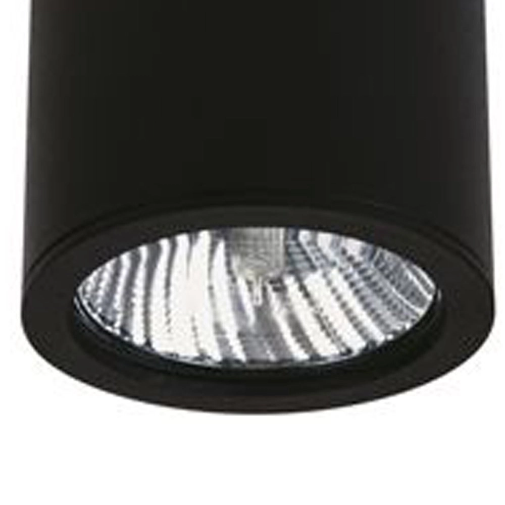 Plafondverlichting buiten Yori 12w - zwart Albert 4007235623802