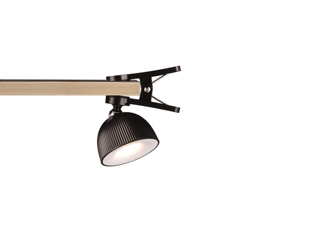 Multifuncitoneel lampje Maxima zwart Trio 4017807601961