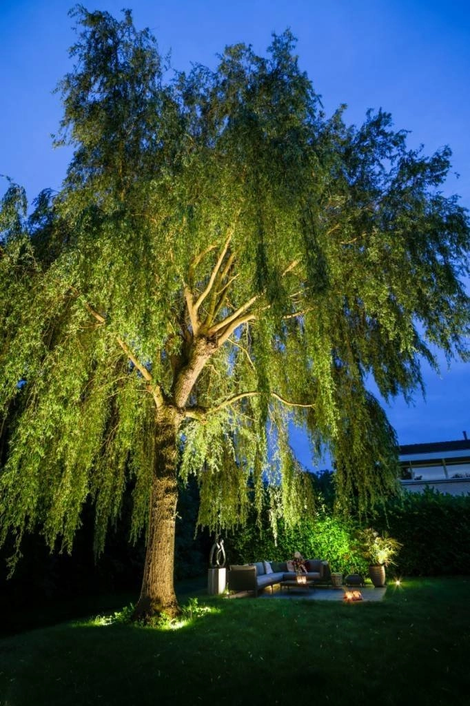 Grondspot Big Nero 12 volt LED In-lite 8717051004490