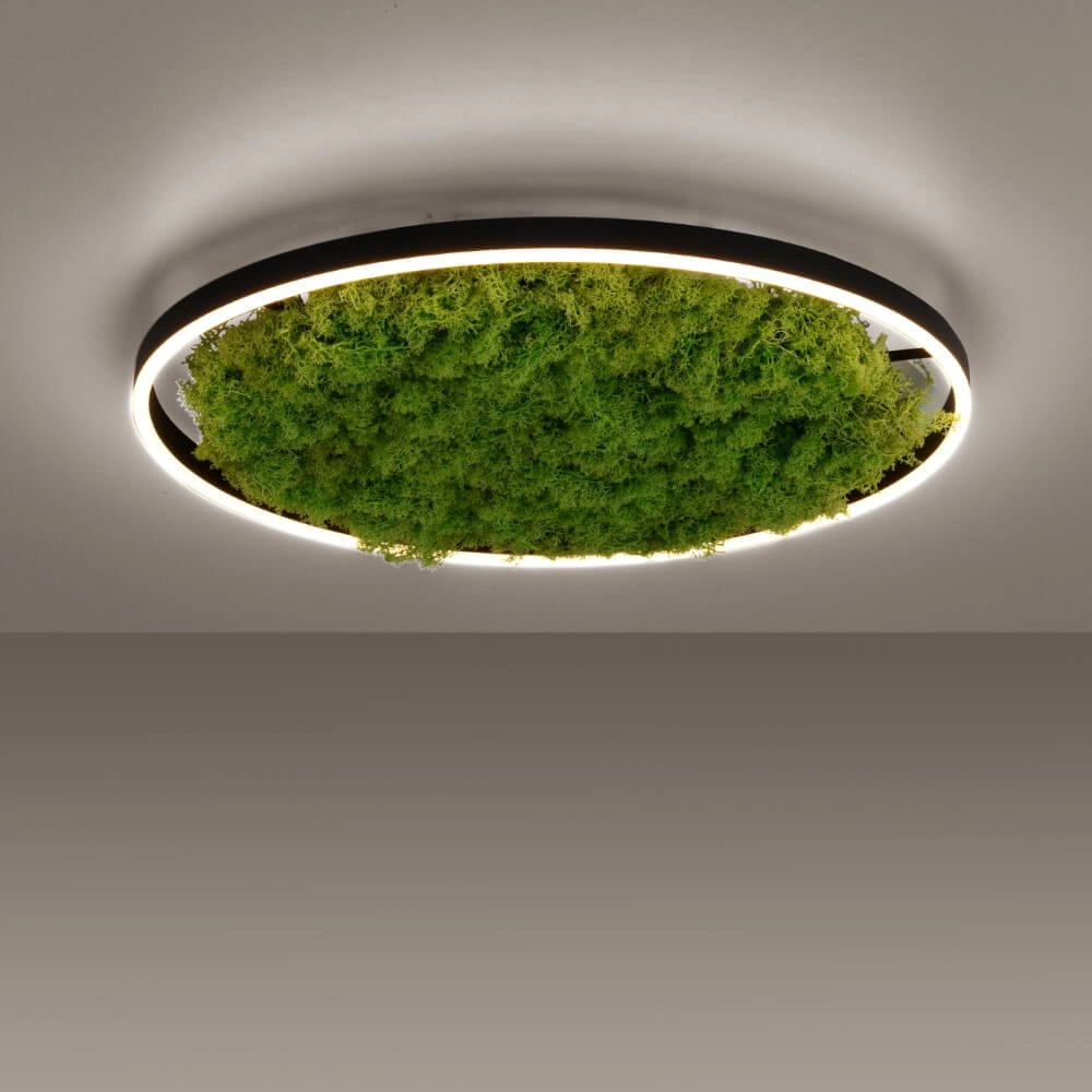 Plafondlamp Green Ritus met mos Ø 58,5cm Just Light 4043689994808