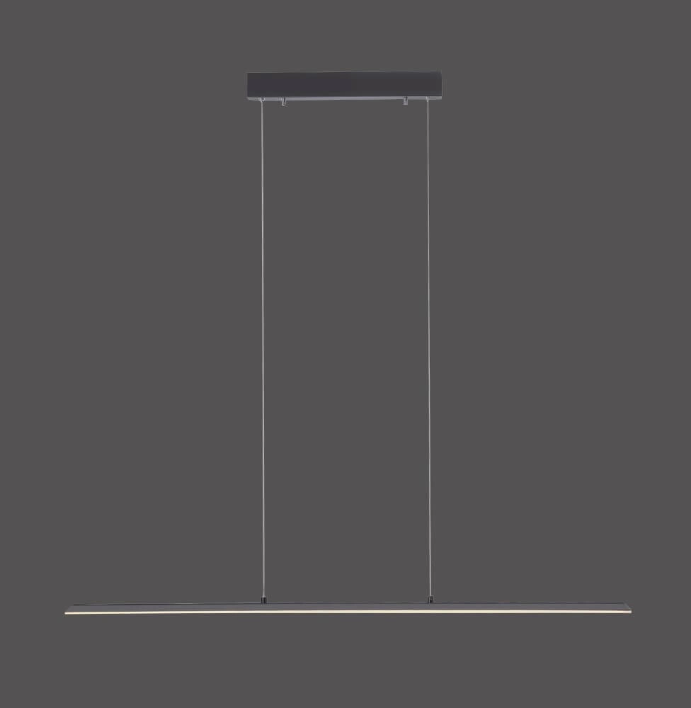 Design hanglamp Pure Lite 100cm antraciet Paul Neuhaus 4012248344873