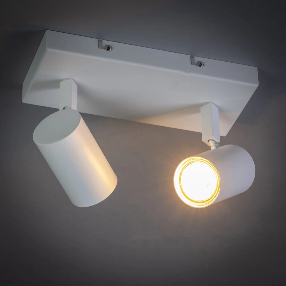 2-lichts plafondspot The Common wit ETH 8720195304364