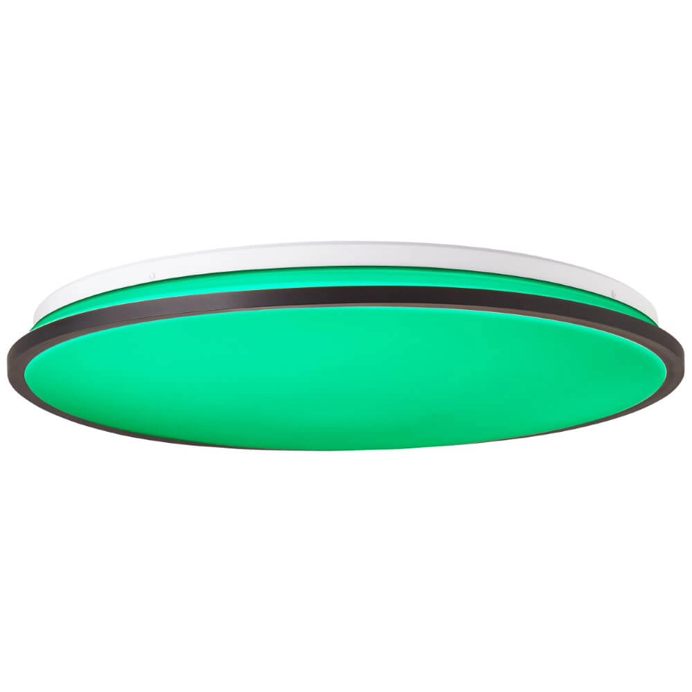 Plafondlamp Heida RGB Ø 49cm Brilliant 4004353411267