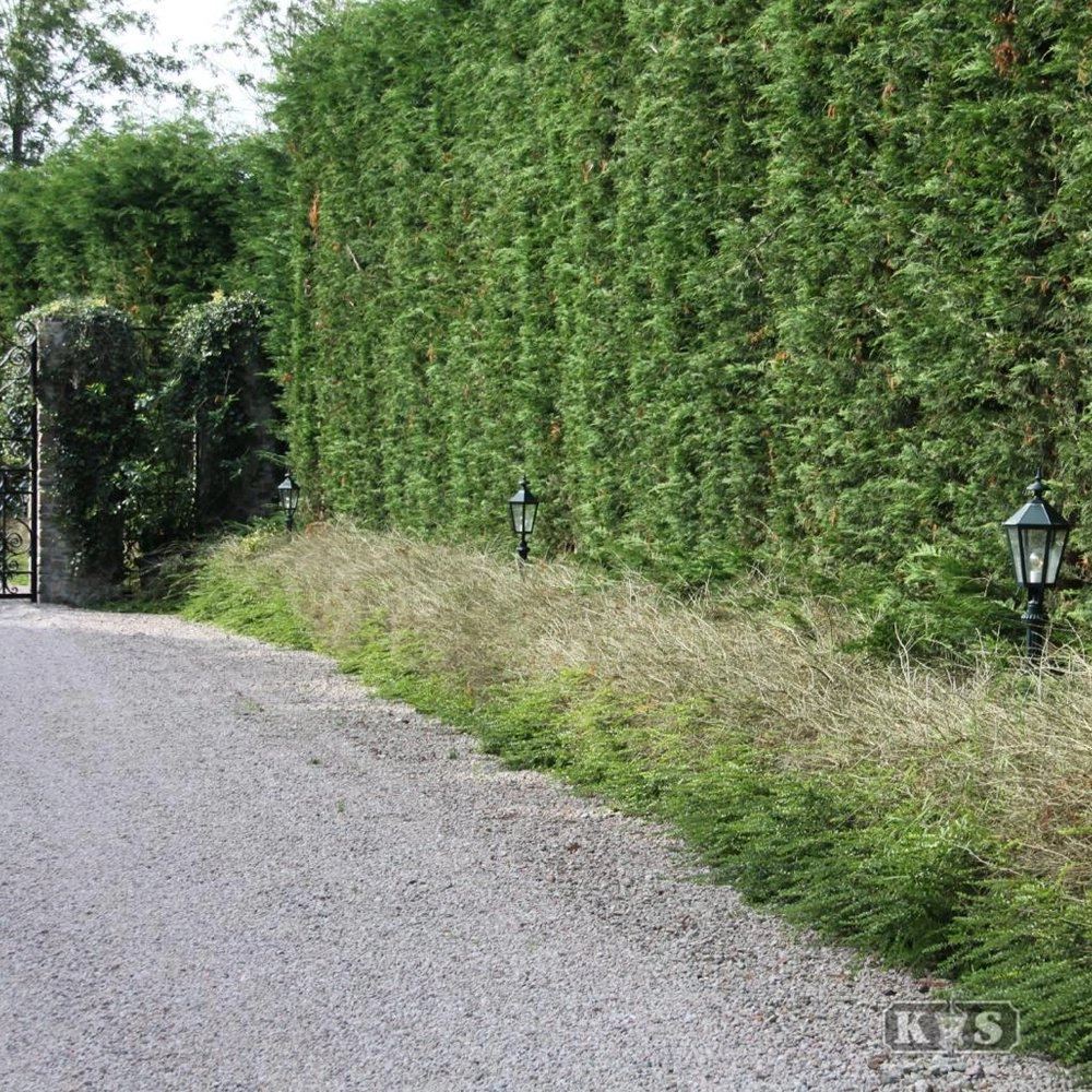 Nostalgische tuinlantaarn Koblenz zwart KS Verlichting 8714732500340