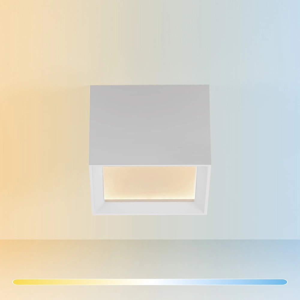 Led opbouwspot Pure Manhattan wit Paul Neuhaus 4012248396834