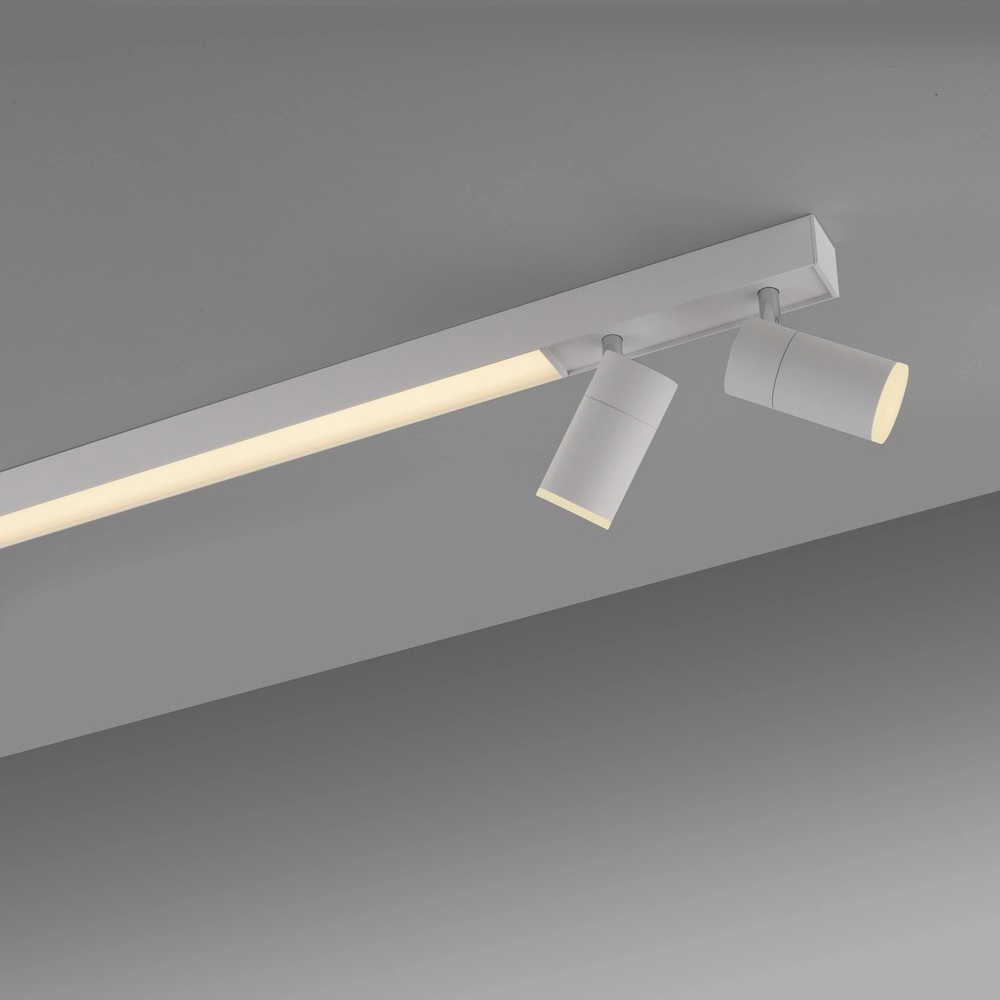 Plafond opbouwspot Pure Lines Spot 110cm - wit Paul Neuhaus 4012248395837