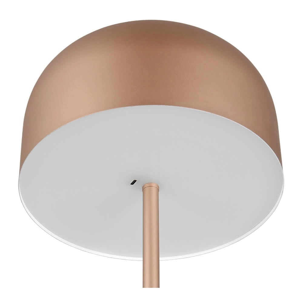 Oplaadbare vloerlamp Jeff koffiebruin Trio 4017807640915