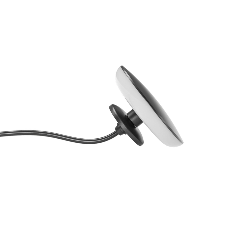 12 volt wandlamp Sway Wall zwart In-lite 8717051004896