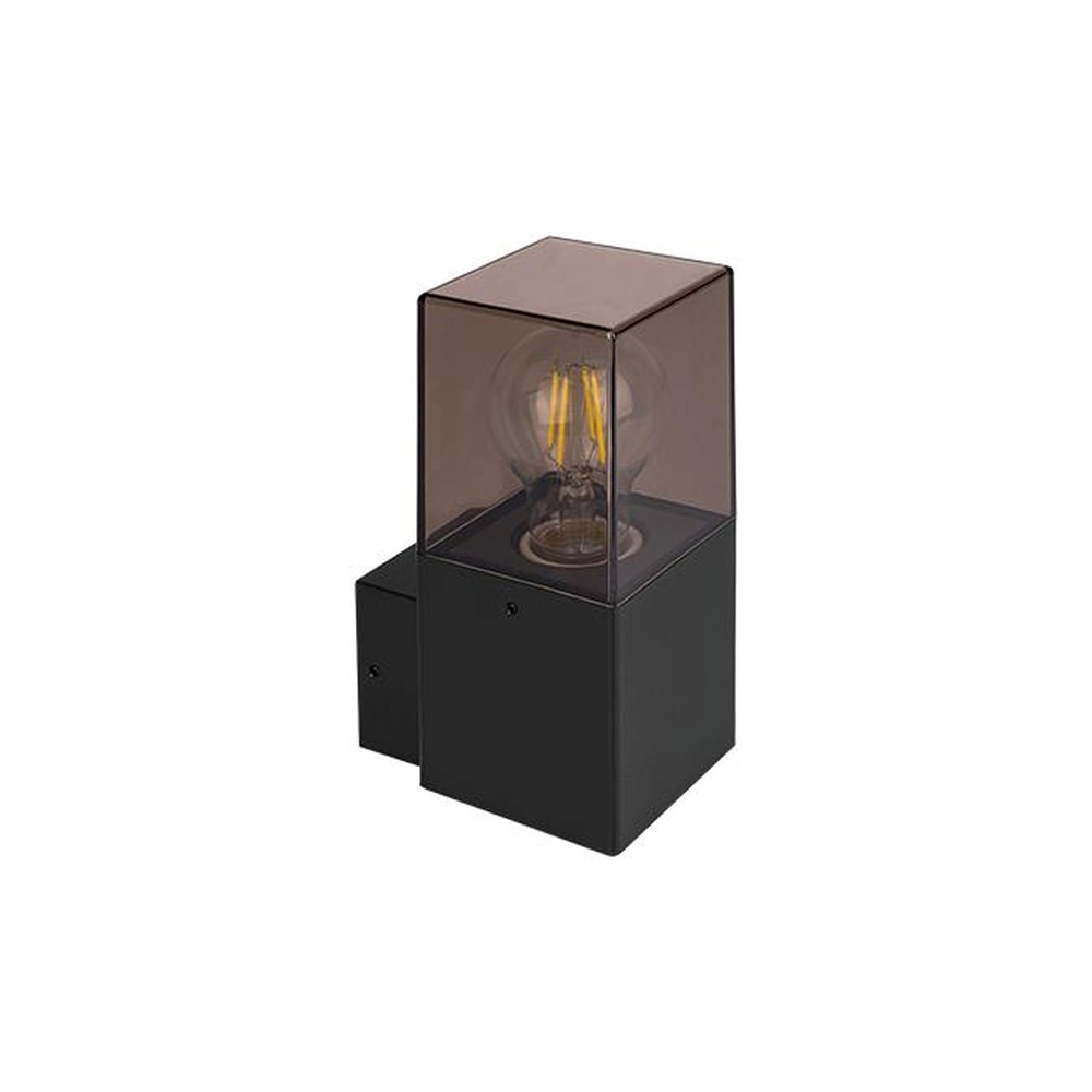 Moderne wandlamp Denver zwart met smoke glas Lyora 5904703019640