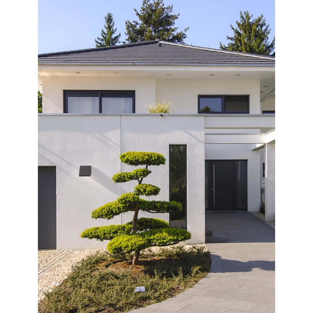 Unieke wandlamp Parris antraciet Lyora 5212017432773